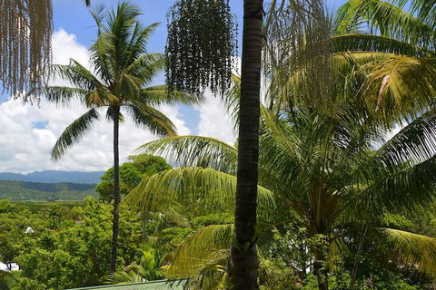 Monsoon Villa B - Northern Rivers Accommodation 5