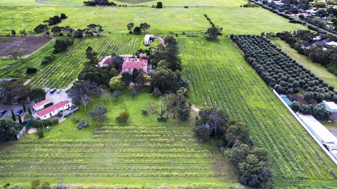 Authenticity Health & Wellness Retreat - Northern Rivers Accommodation 1