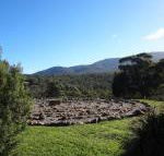 Hawksview at Mafeking - Northern Rivers Accommodation