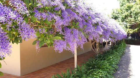 Bendles Cottages And Country Villas - Northern Rivers Accommodation 4