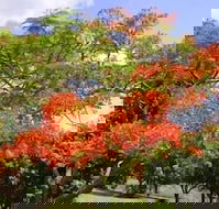 Eastwood Farm - Northern Rivers Accommodation
