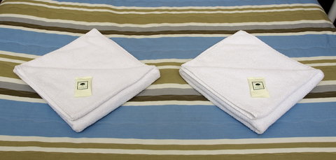 The George Sydney - Northern Rivers Accommodation 5