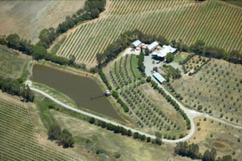 Patly Hill Farm - Northern Rivers Accommodation 1