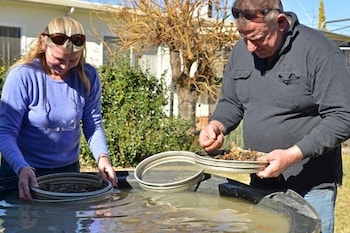 Fossicker Caravan Park - Northern Rivers Accommodation 1