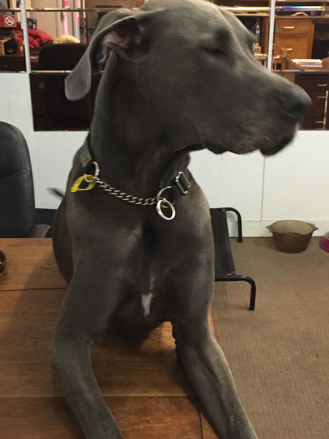 Capricornia Motel - Northern Rivers Accommodation 4