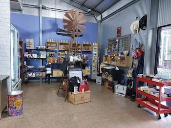 Litchfield Tourist Park - Campground - Northern Rivers Accommodation 2