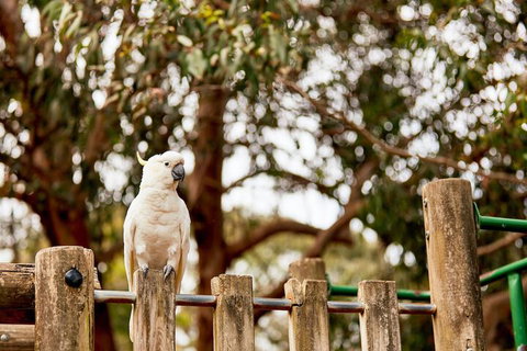 Kennett River Family Caravan Park - Northern Rivers Accommodation 7