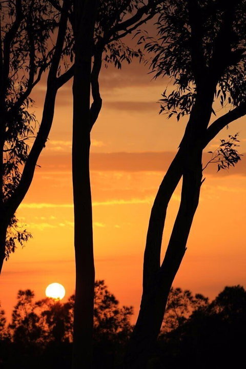 Bella Wind Bed & Breakfast - Northern Rivers Accommodation 3