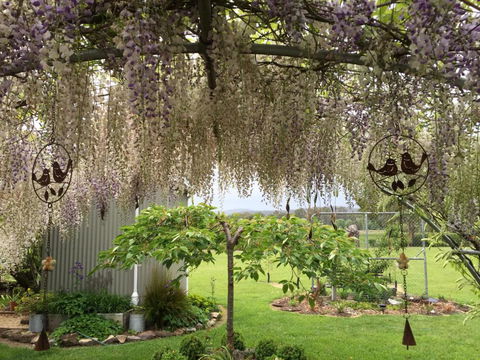 Duffys Country Accommodation - Northern Rivers Accommodation 3