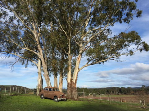 Duffys Country Accommodation - Northern Rivers Accommodation 2