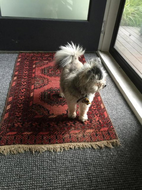 Petite Provence Cottage - Northern Rivers Accommodation 2