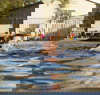 Riverside Cabin Park - Northern Rivers Accommodation
