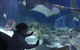 Spacious Seaviews - thumb 4