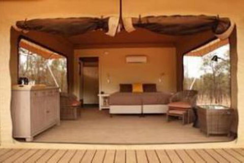 Ikara Safari Camp - Northern Rivers Accommodation 2