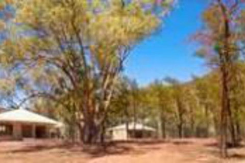 Ikara Safari Camp - Northern Rivers Accommodation 5