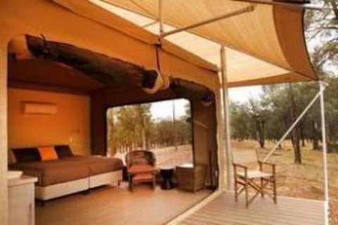 Ikara Safari Camp - Northern Rivers Accommodation 4