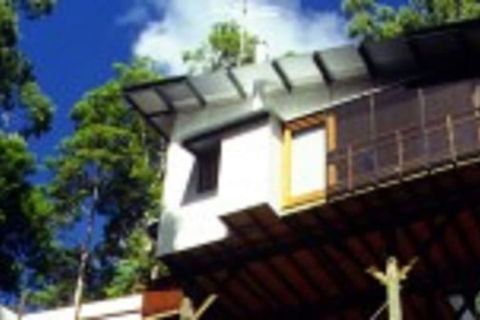 Lyola Pavilions In The Forest - Northern Rivers Accommodation 1