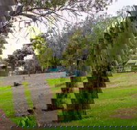 Windsor Gardens Caravan Park - Northern Rivers Accommodation