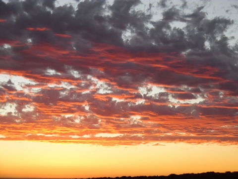 On The Deck @ Shark Bay - Northern Rivers Accommodation 6