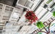 Rambutan Resort - thumb 6
