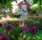A Country Barn Retreat - Northern Rivers Accommodation