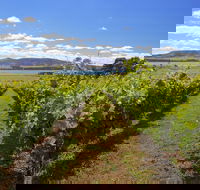 Riversdale Estate Cottages - Northern Rivers Accommodation