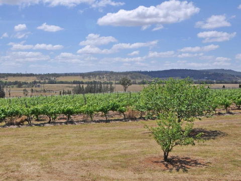 Beggars Bridge Vineyard Homestead W / Pool + Wifi + Tennis + Vineyard - Northern Rivers Accommodation 2