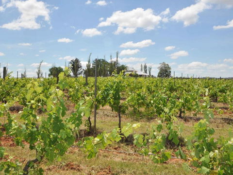 Beggars Bridge Vineyard Homestead W / Pool + Wifi + Tennis + Vineyard - Northern Rivers Accommodation 1