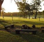 Wallaby Cottage cute Accom in bushland setting - Northern Rivers Accommodation