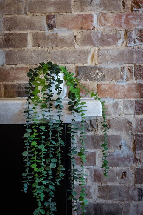 Grand Hotel Wyong - Northern Rivers Accommodation 1