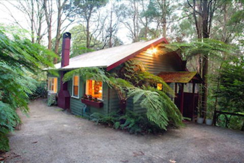 A Cottage In The Forest - Northern Rivers Accommodation 0