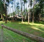 Fernglade on Menzies - Northern Rivers Accommodation