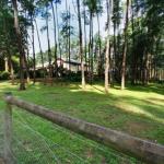 Fernglade On Menzies - Northern Rivers Accommodation 0