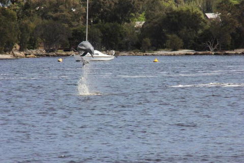Tani Hill - Northern Rivers Accommodation 1