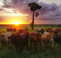 Myella Farm Stay - Northern Rivers Accommodation