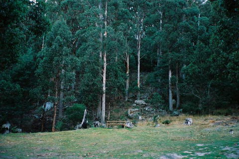 Base Camp Tasmania - Northern Rivers Accommodation 7