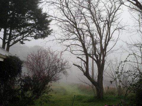 Brookvale House Balingup - Northern Rivers Accommodation 3