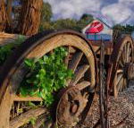 Bellum Hotel - Northern Rivers Accommodation