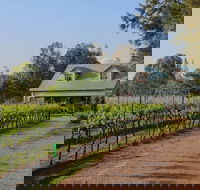 Emmas Cottage Vineyard - Northern Rivers Accommodation