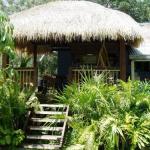 Mango Tourist Hostel - Northern Rivers Accommodation 0