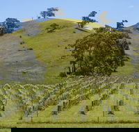 Blue House at Mountainside Wines - Northern Rivers Accommodation