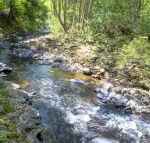 Tallaringa Views - Northern Rivers Accommodation