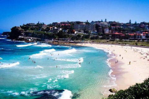 Bronte By Design A Bondi Beach Holiday Home - Northern Rivers Accommodation 3