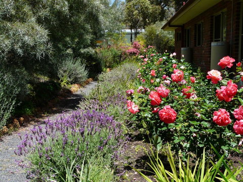 Country Charm Retreat B & B - Northern Rivers Accommodation 1