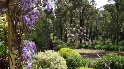 Country Charm Retreat B & B - Northern Rivers Accommodation 4