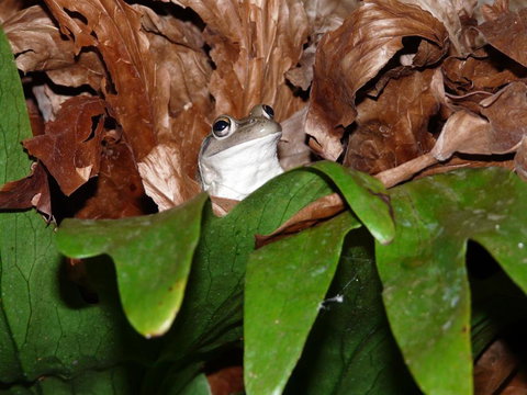 Country Charm Retreat B & B - Northern Rivers Accommodation 2