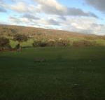 Mancuso Country Cottage Retreat - Northern Rivers Accommodation