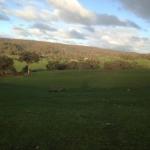 Mancuso Country Cottage Retreat - Northern Rivers Accommodation 0