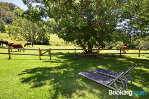 Secrets At Cedar Grove - Northern Rivers Accommodation 2