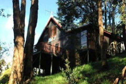 Tree Tops Cascades - Northern Rivers Accommodation 0